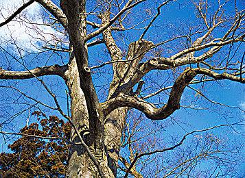 英伟达CEO：不会放弃PC游戏玩家